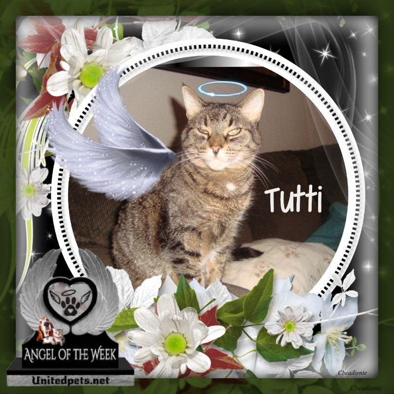 thebugster08 uploaded   49  day/s  ago