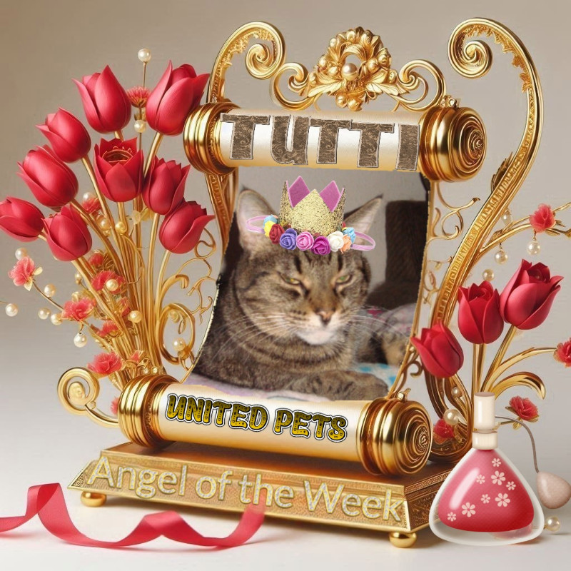 Tutti of the thebugster08 family