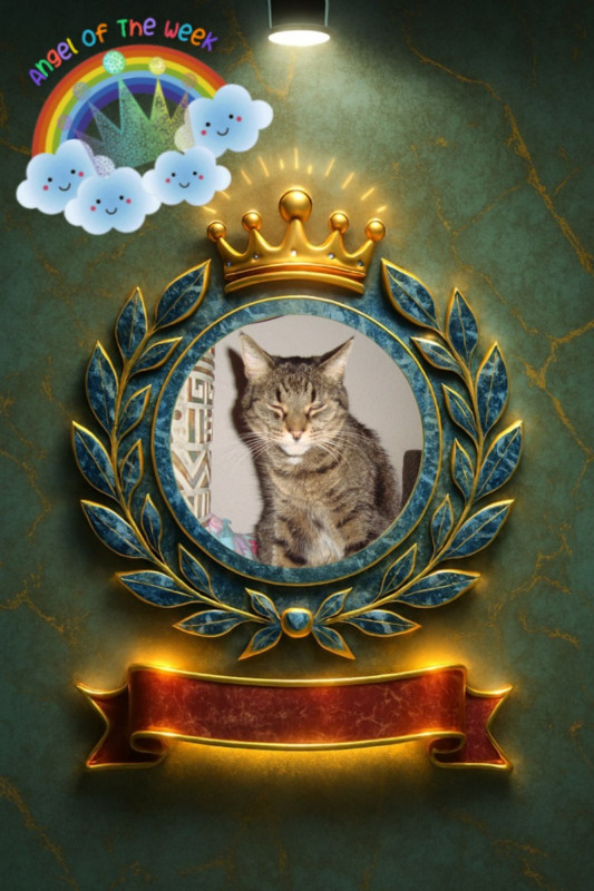 Tutti of the thebugster08 family