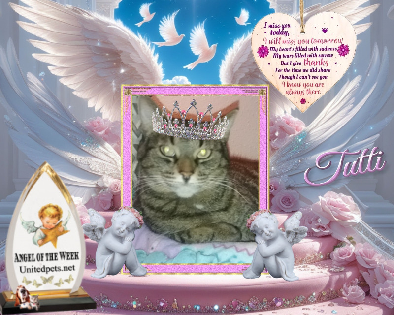 thebugster08 uploaded   51  day/s  ago