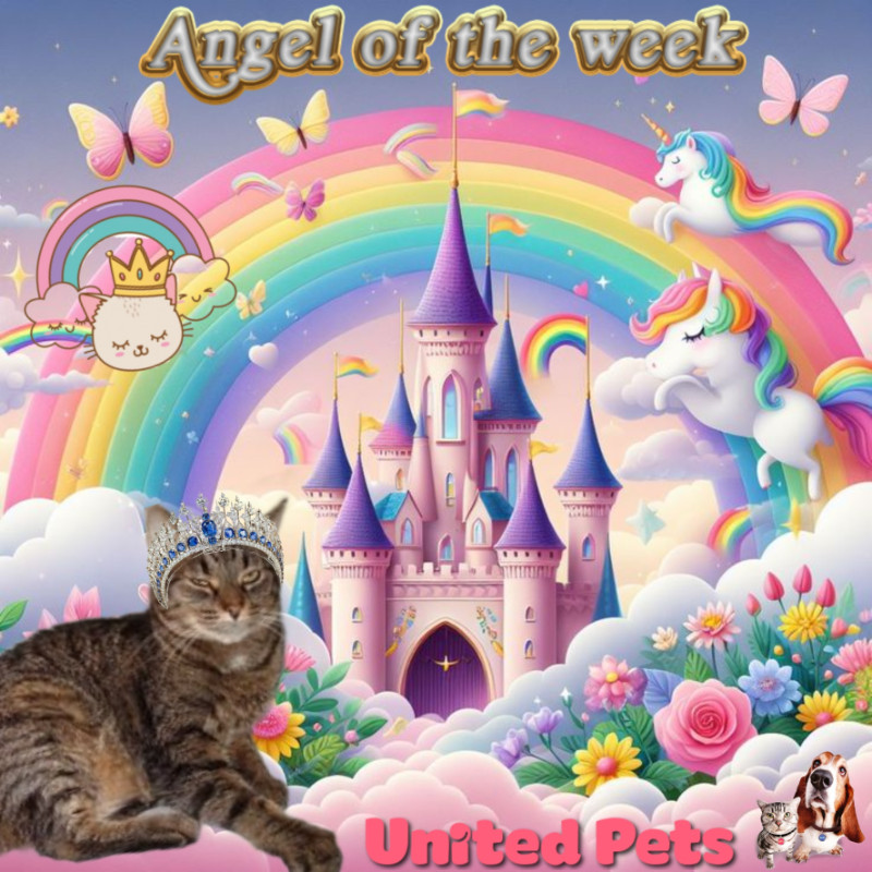 Tutti of the thebugster08 family