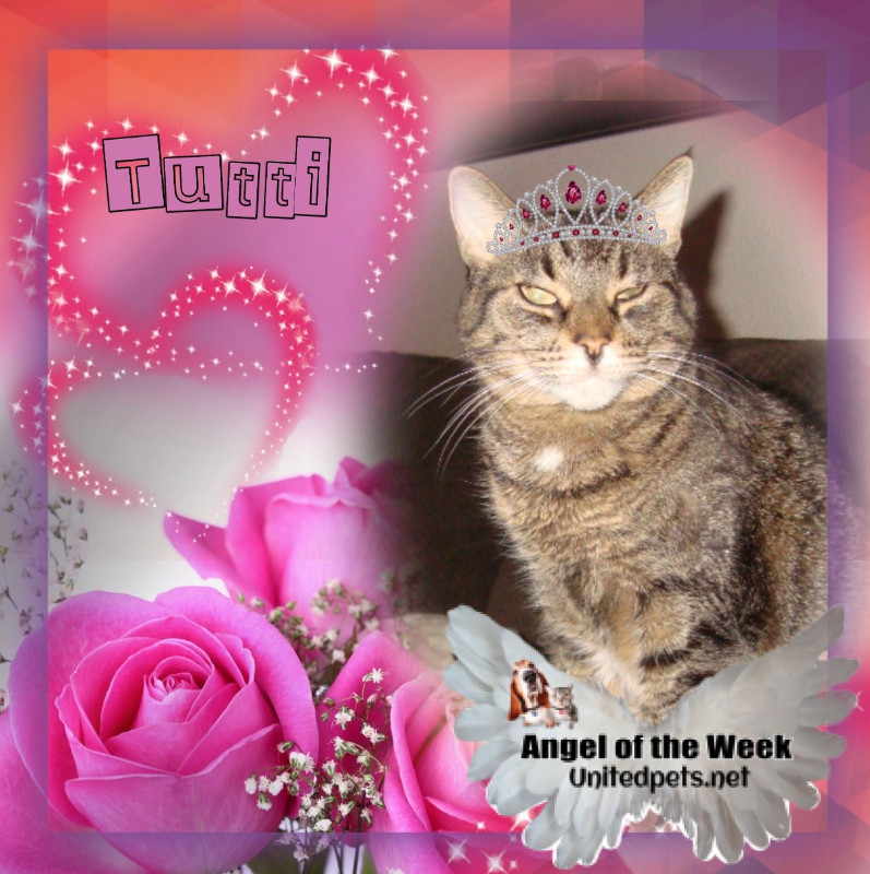 Tutti of the thebugster08 family