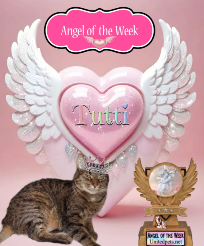 thebugster08 uploaded   48  day/s  ago