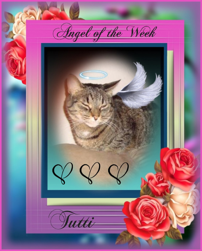 thebugster08 uploaded   49  day/s  ago