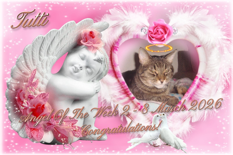 thebugster08 uploaded   48  day/s  ago