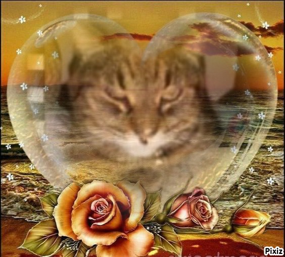 thebugster08 uploaded   49  day/s  ago