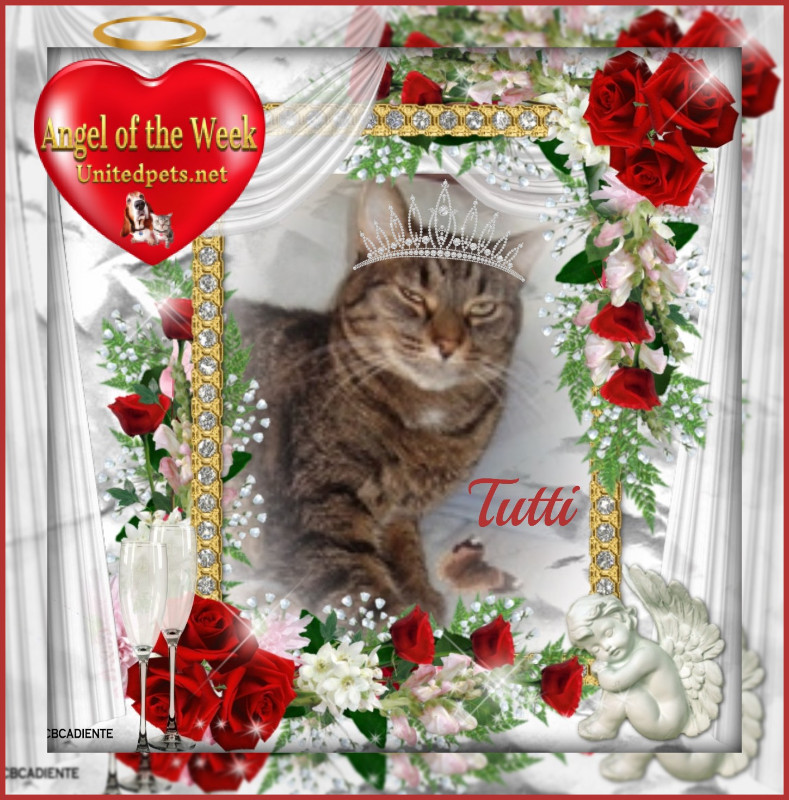 thebugster08 uploaded   49  day/s  ago