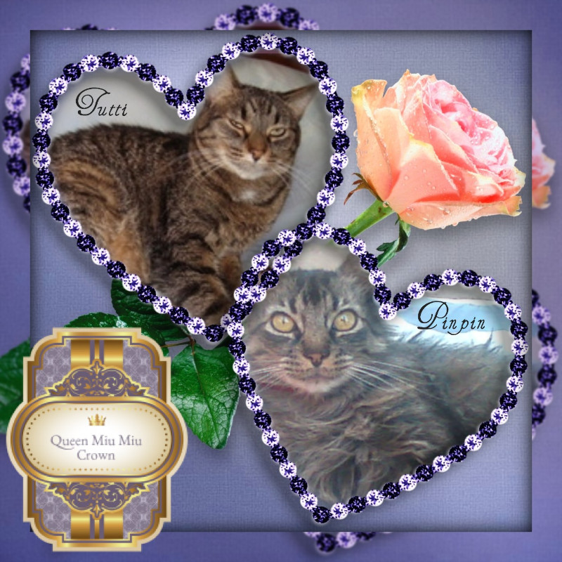 Tutti of the thebugster08 family