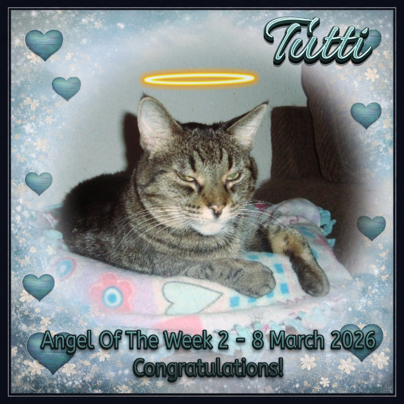 thebugster08 uploaded   48  day/s  ago