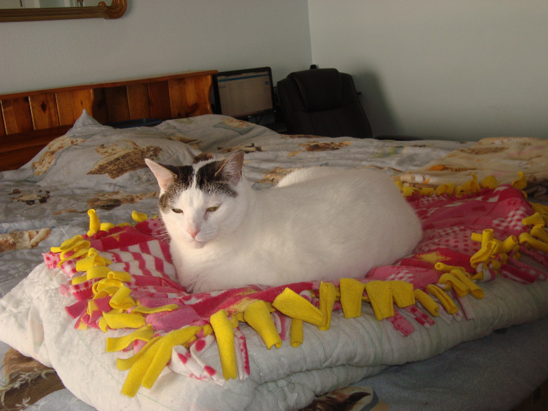 thebugster08 uploaded   1 year/s ago