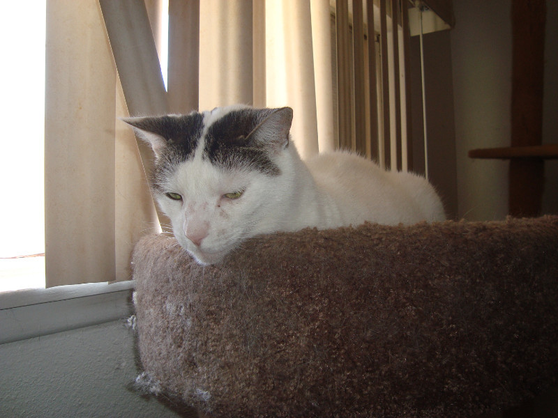 thebugster08 uploaded   207  day/s  ago