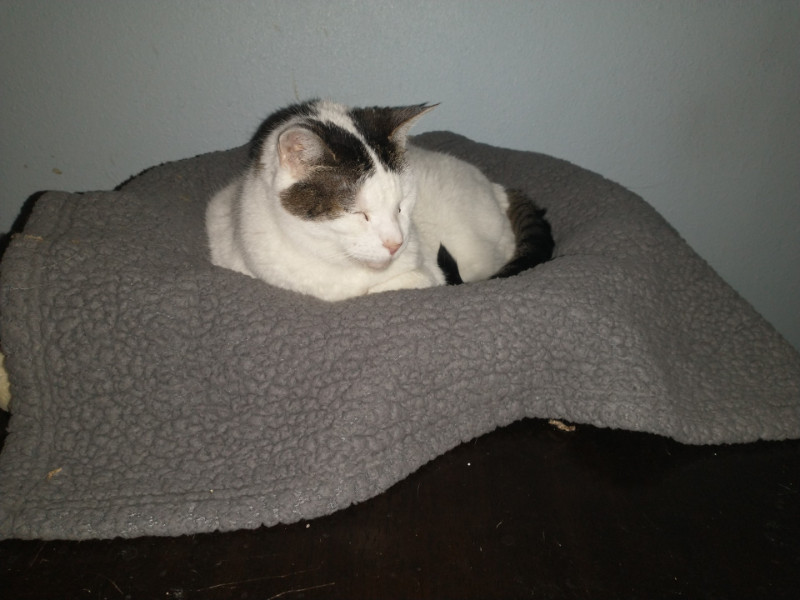 thebugster08 uploaded   207  day/s  ago