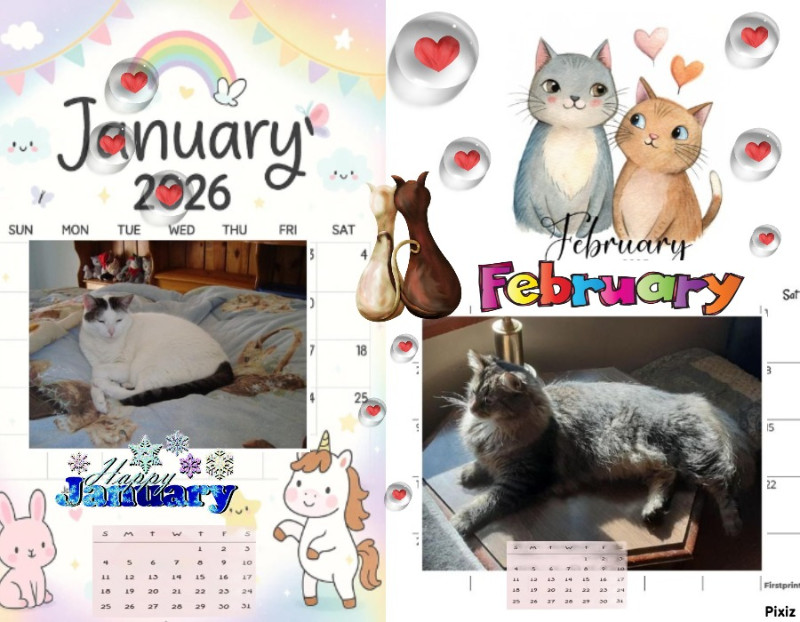 Spice of the thebugster08 family