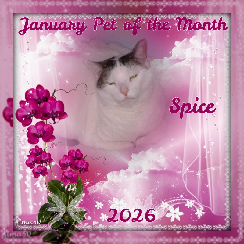 Spice of the thebugster08 family