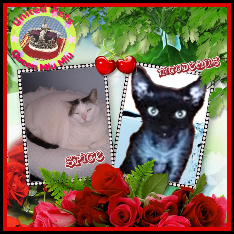 Spice of the thebugster08 family