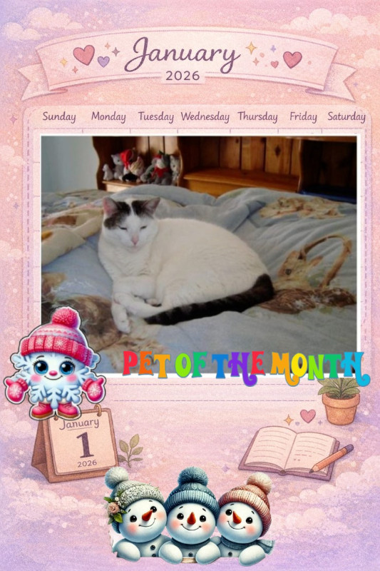 Spice of the thebugster08 family