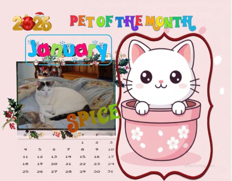 thebugster08 uploaded   3 hour/s ago