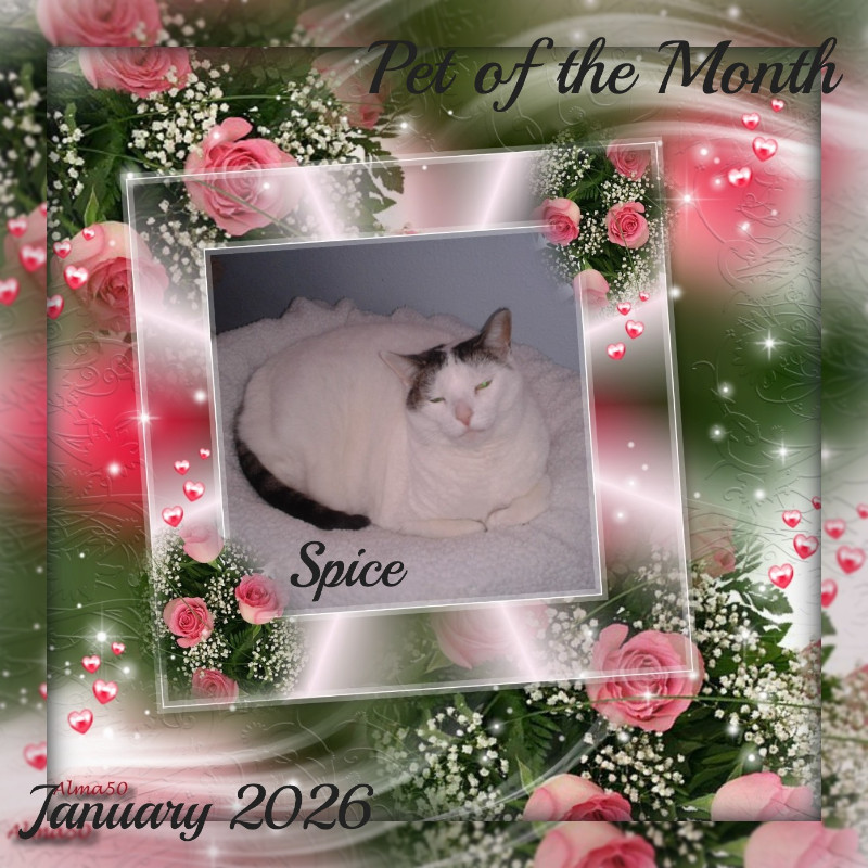 Spice of the thebugster08 family