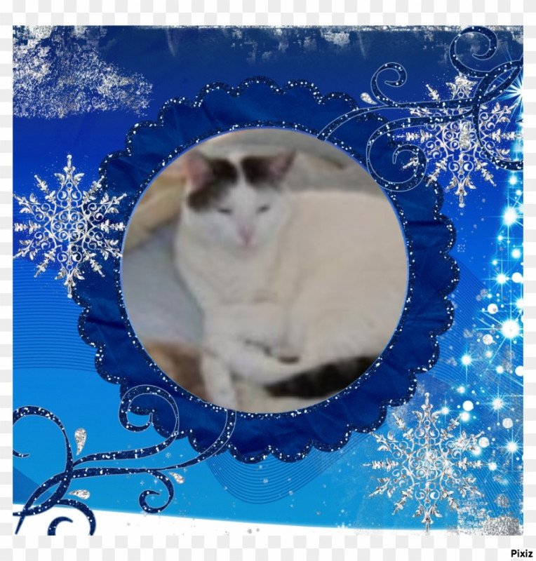 Spice of the thebugster08 family