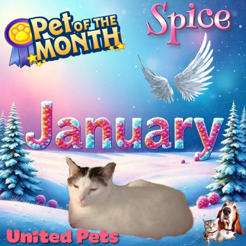 Spice of the thebugster08 family