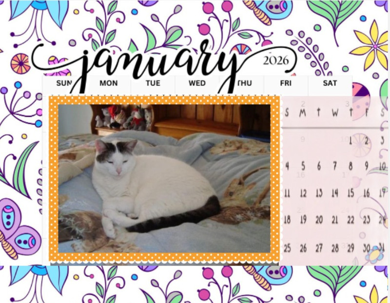 Spice of the thebugster08 family