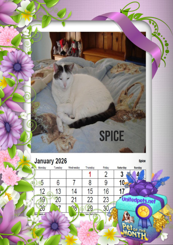 Spice of the thebugster08 family