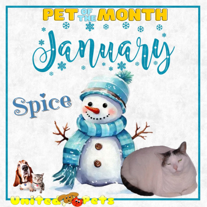 Spice of the thebugster08 family