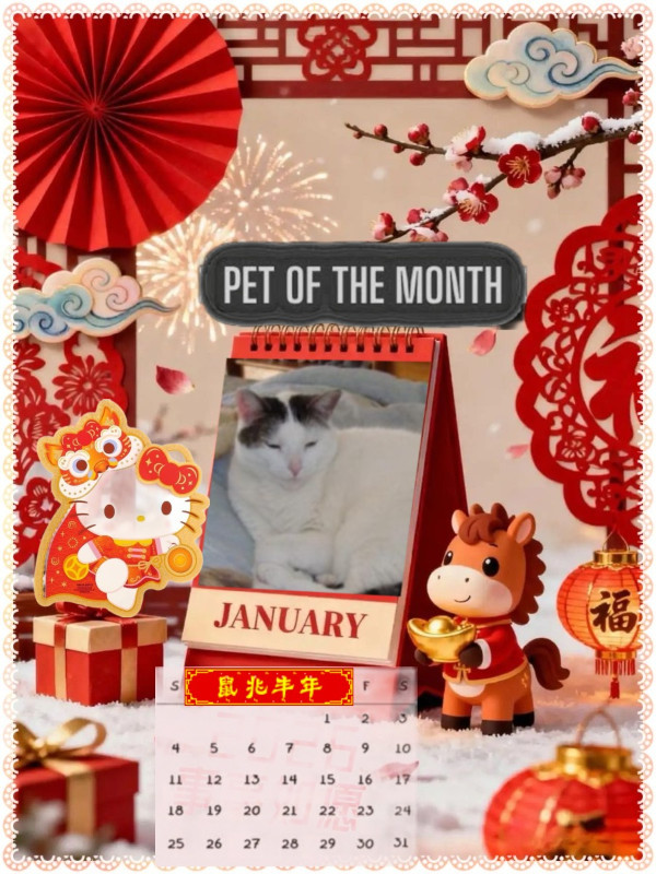 Spice of the thebugster08 family