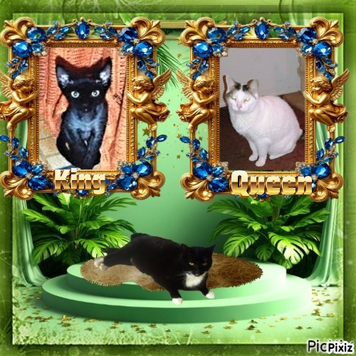 Spice of the thebugster08 family