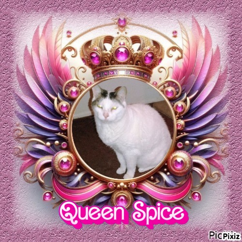 Spice of the thebugster08 family