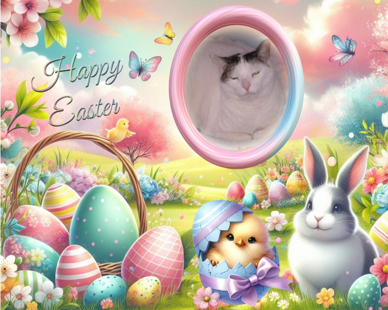 Spice of the thebugster08 family