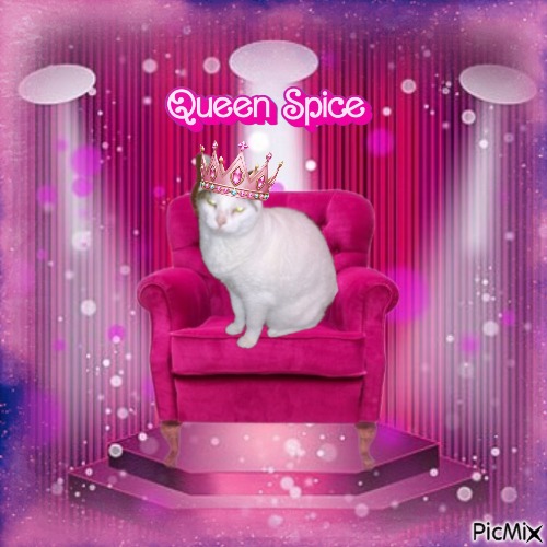 Spice of the thebugster08 family