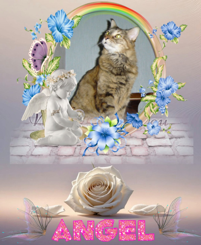 Sadie of the thebugster08 family