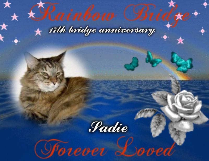 Sadie of the thebugster08 family