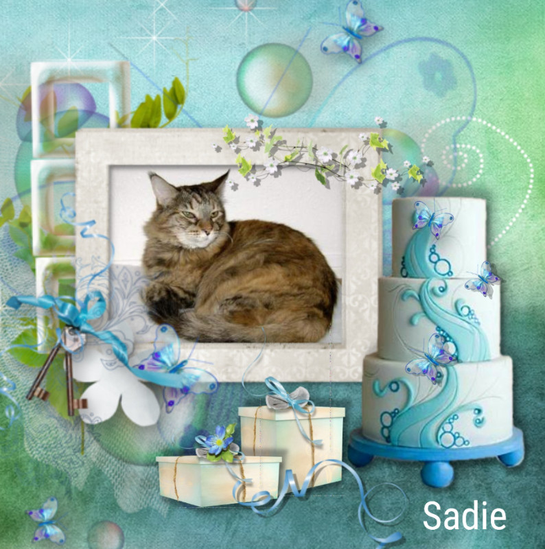 Sadie of the thebugster08 family