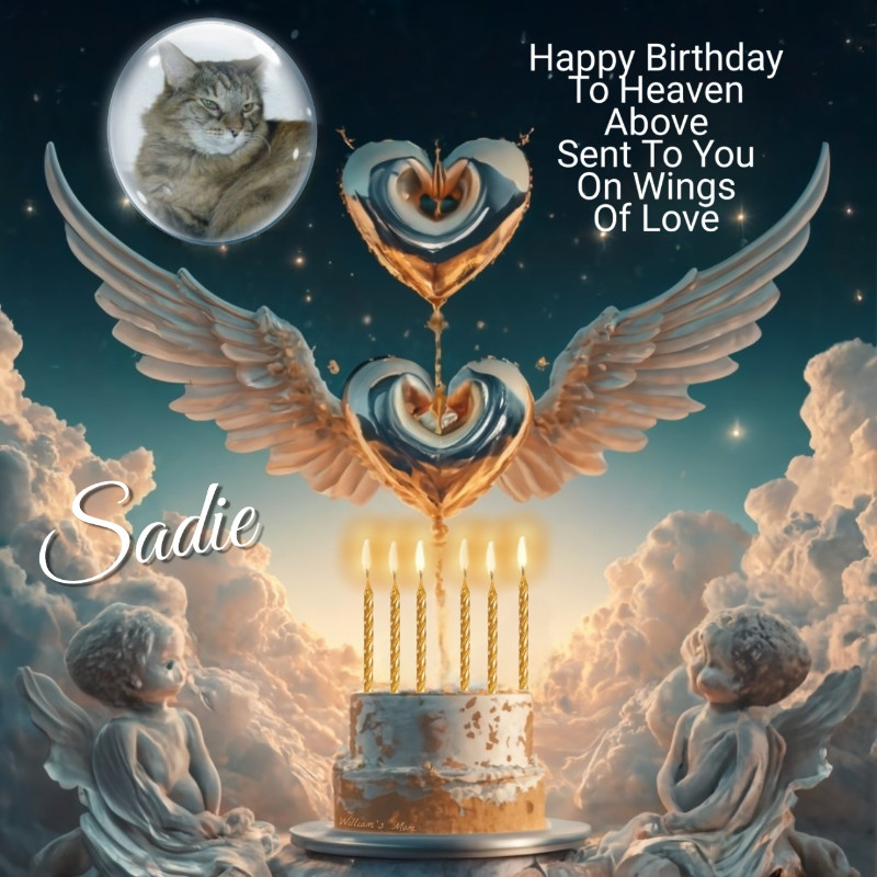 Sadie of the thebugster08 family