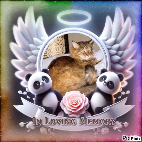 Sadie of the thebugster08 family