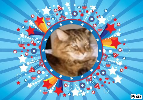 Sadie of the thebugster08 family