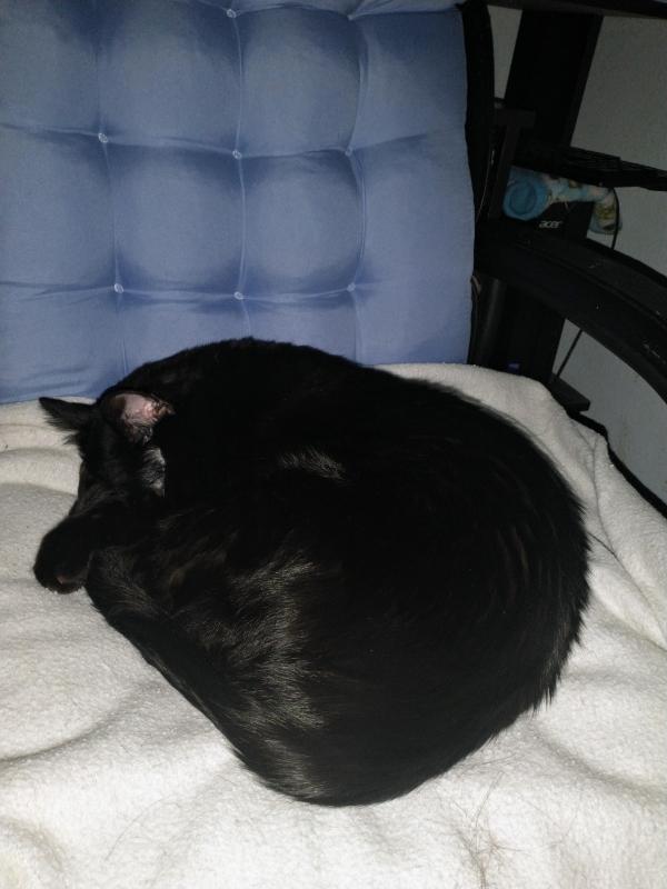 thebugster08 uploaded   1 year/s ago