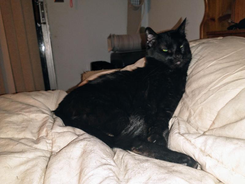 thebugster08 uploaded   1 year/s ago