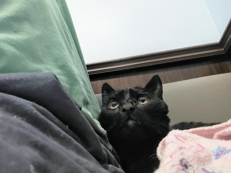 thebugster08 uploaded   1 year/s ago