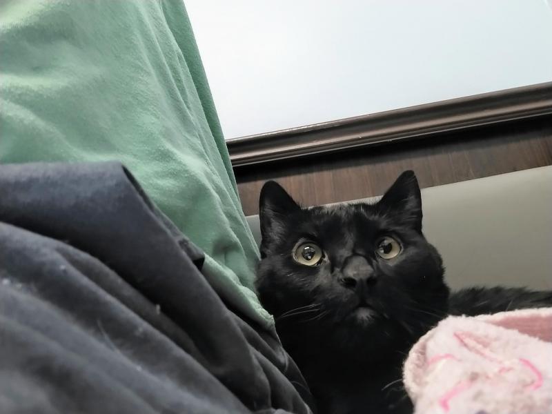 thebugster08 uploaded   1 year/s ago