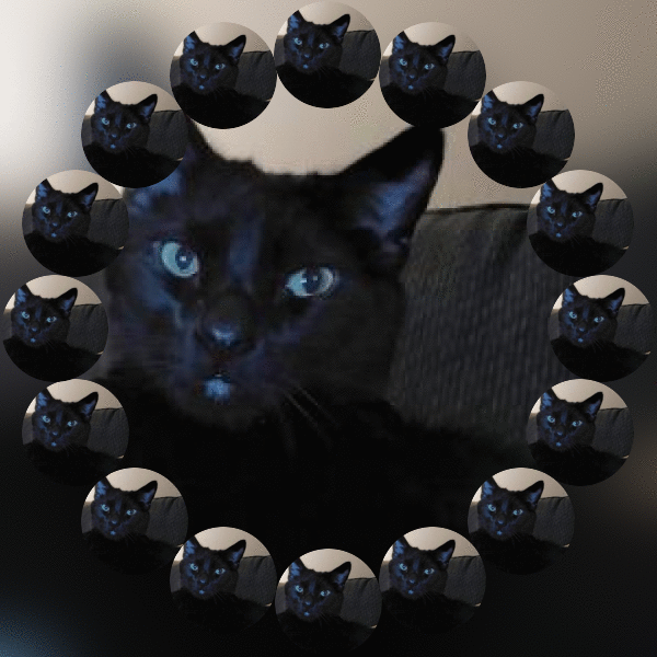 thebugster08 uploaded   84  day/s  ago