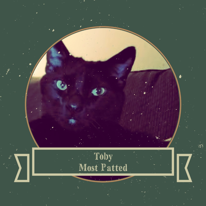 Toby of the thebugster08 family