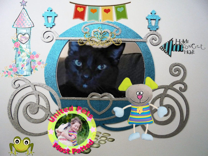 Toby of the thebugster08 family