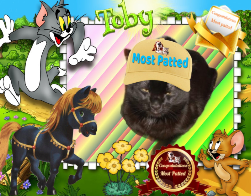 Toby of the thebugster08 family