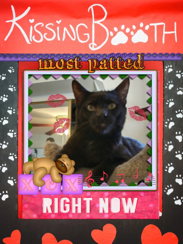 thebugster08 uploaded   84  day/s  ago