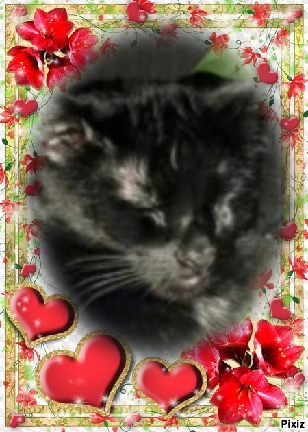 Toby of the thebugster08 family