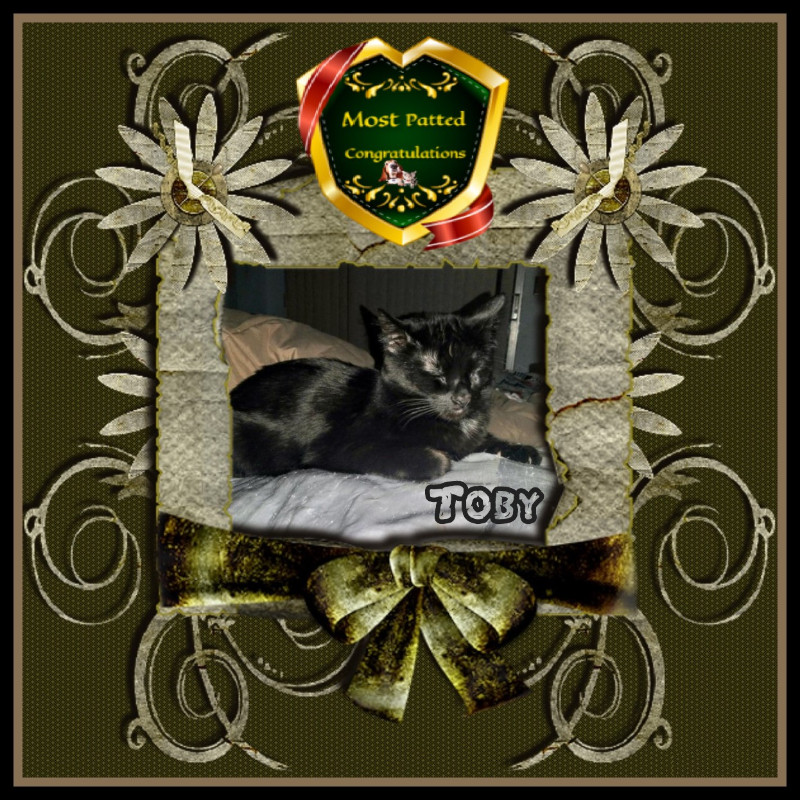 thebugster08 uploaded   84  day/s  ago