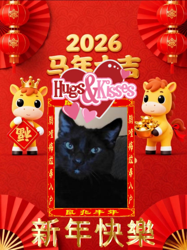 thebugster08 uploaded   84  day/s  ago